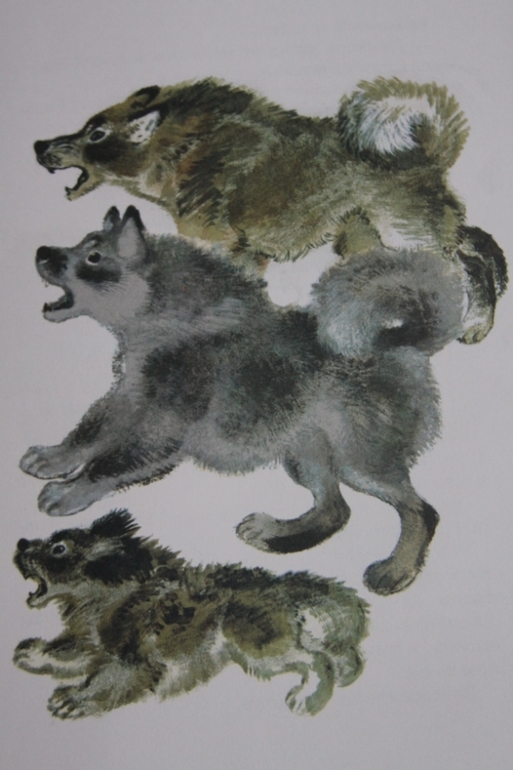 Тюпа -антистресс