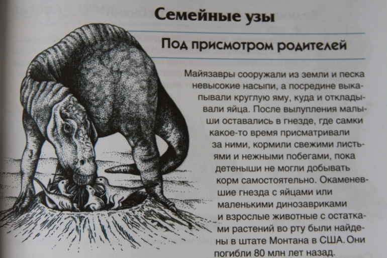 Познакомься, мама...