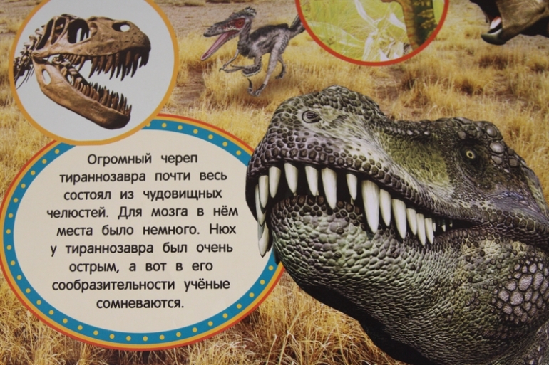 Познакомься, мама...