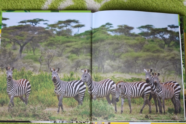 Энциклопедия животных для малышей