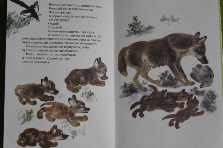 Тюпа -антистресс