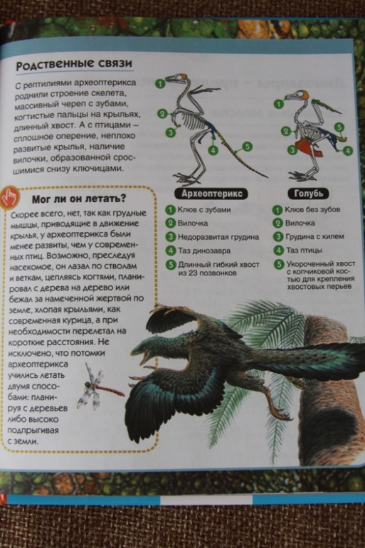 Познакомься, мама...