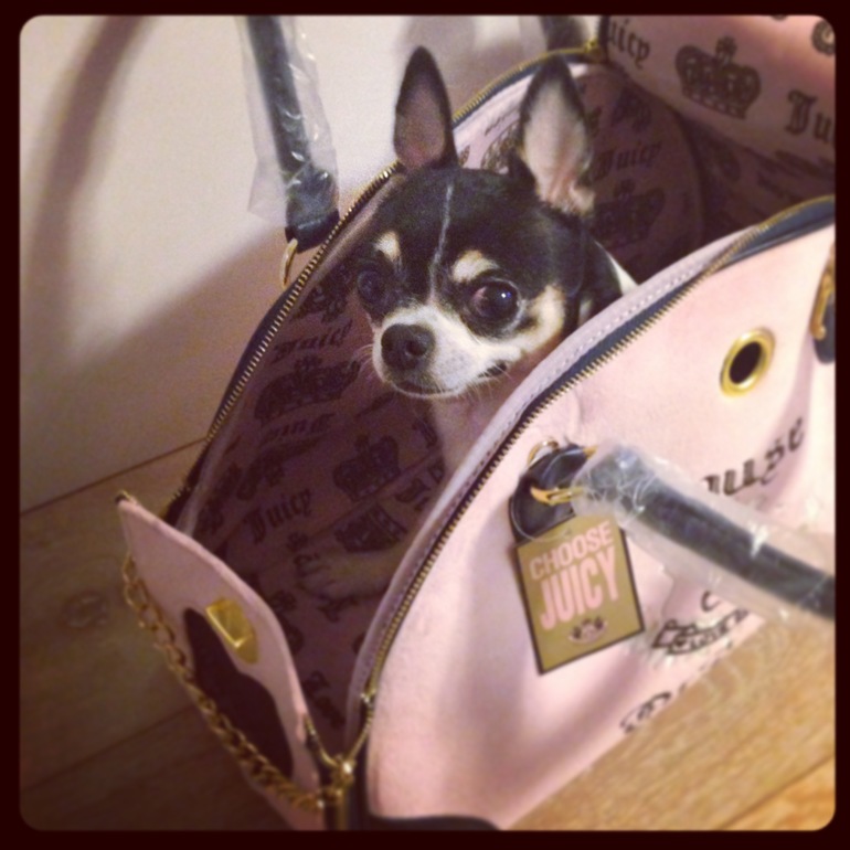 Мои зверята)))