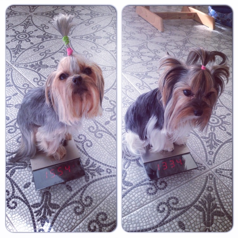 Прогулочное!))