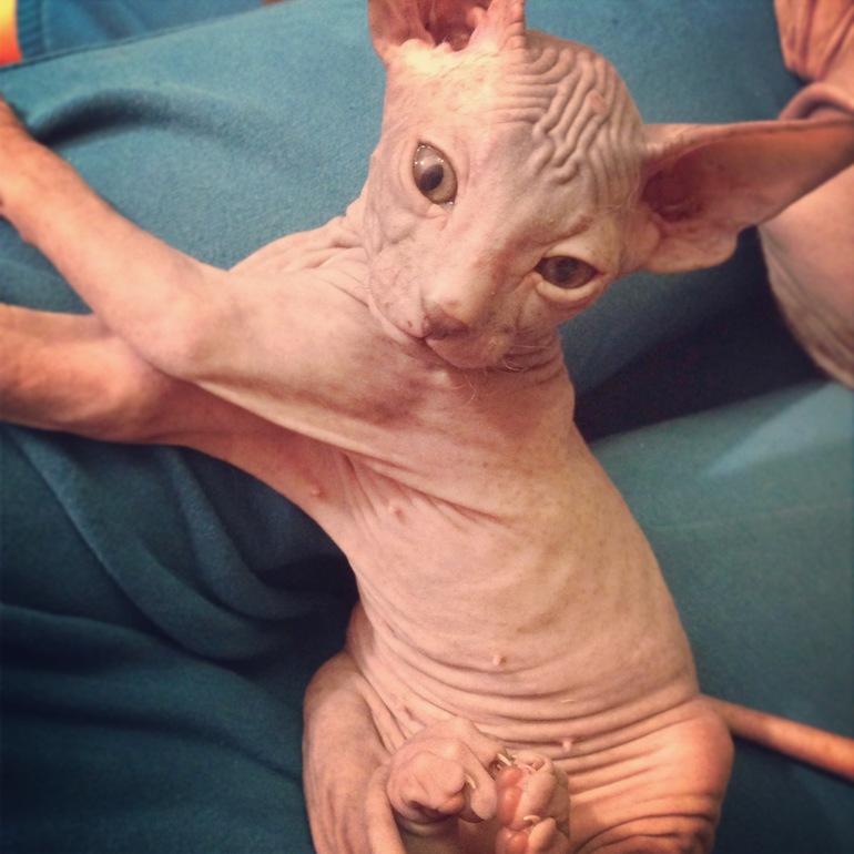 1,5 Мес малышне!!)))