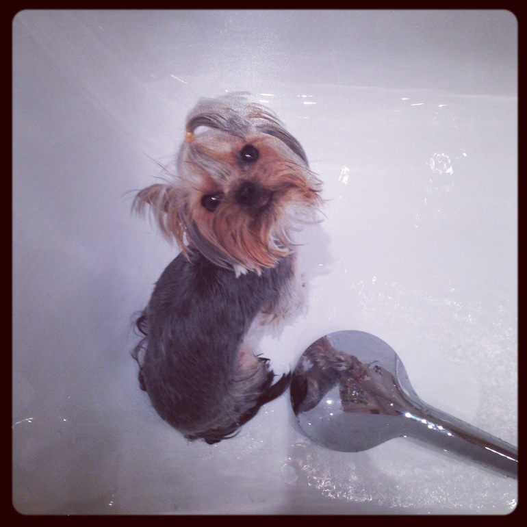 Фото моих девочек)))