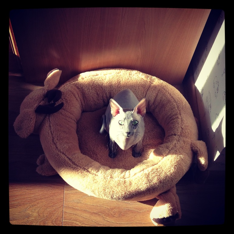 Фото моих девочек)))