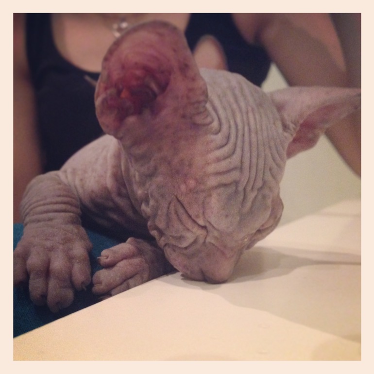 1,5 Мес малышне!!)))