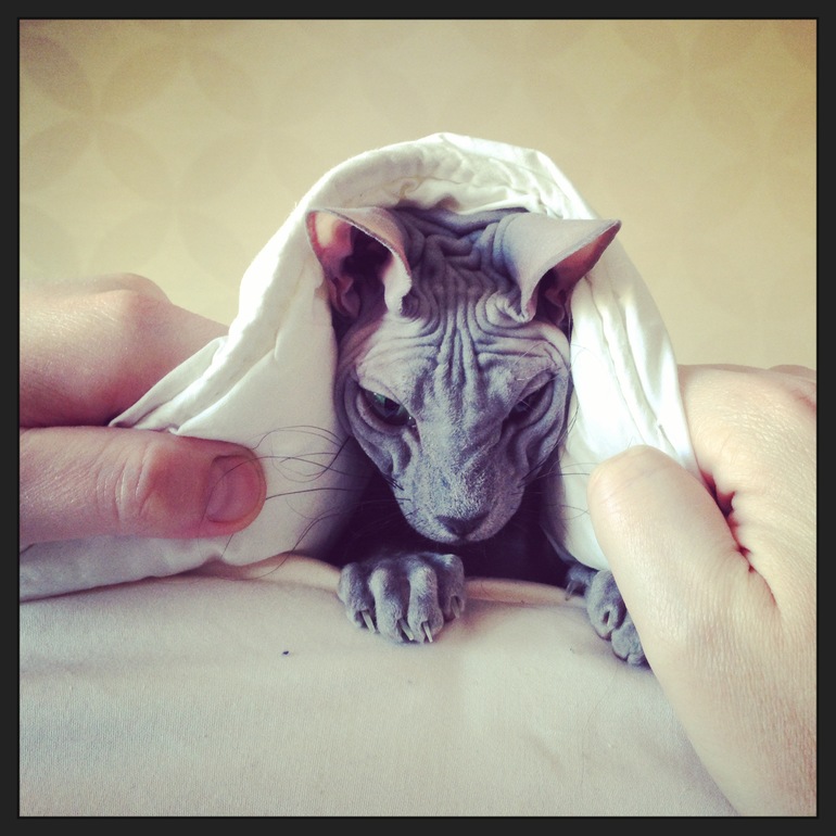 Фото моих девочек)))