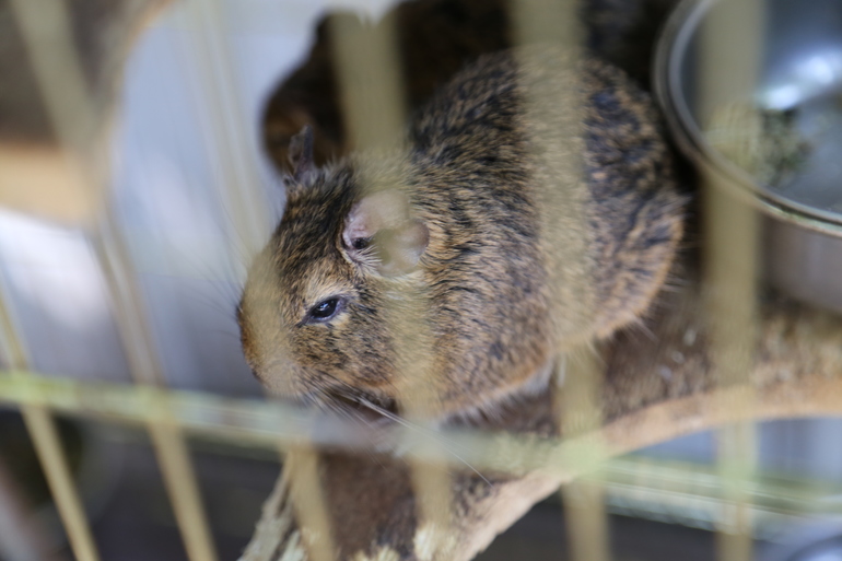 Навстречу природе