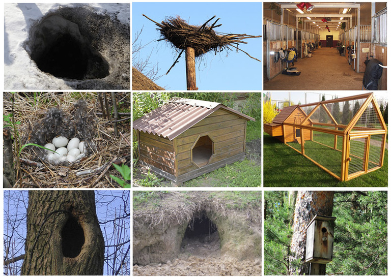 Навстречу природе