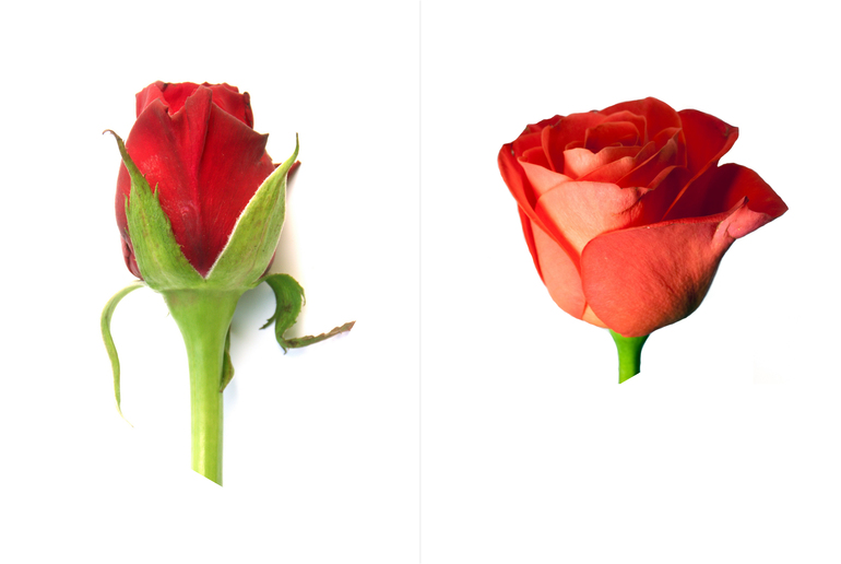 Навстречу природе