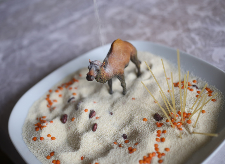 Звериные игры