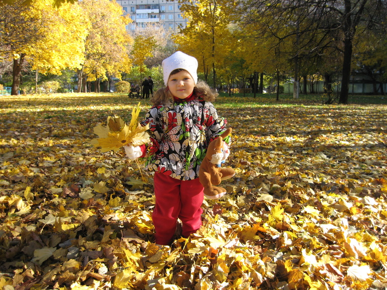 a385f368788df255892f4eb8d6dc6249.jpg
