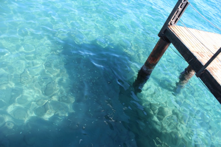 Андрюша, его родители и бабушка ездили на мооооре)