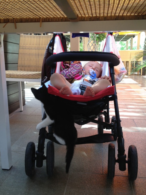 Андрюша, его родители и бабушка ездили на мооооре)