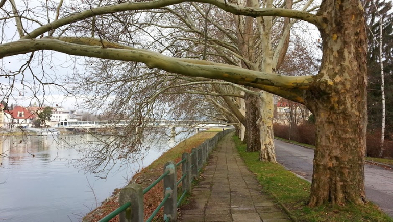 Пиештяны (Словакия). Велосипедные зарисовки.