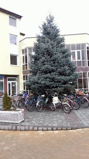 Пиештяны (Словакия). Велосипедные зарисовки.