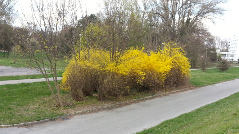 Пиештяны (Словакия). Велосипедные зарисовки.