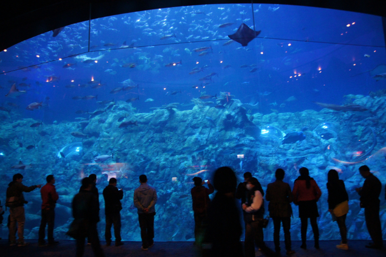 Гонконг с детьми