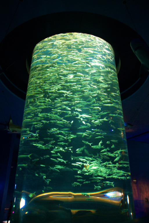 Гонконг с детьми