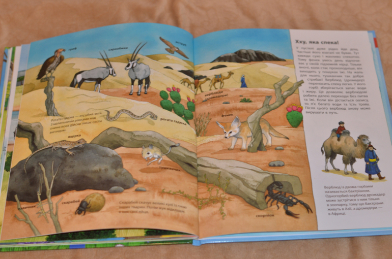 Бюджетные смотрелки от Ранка