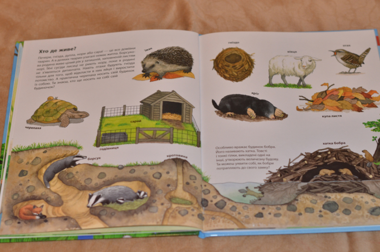 Бюджетные смотрелки от Ранка