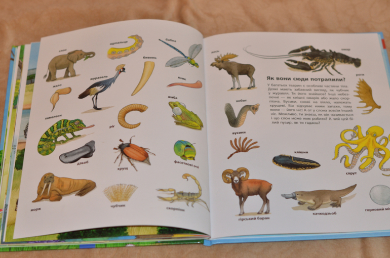 Бюджетные смотрелки от Ранка