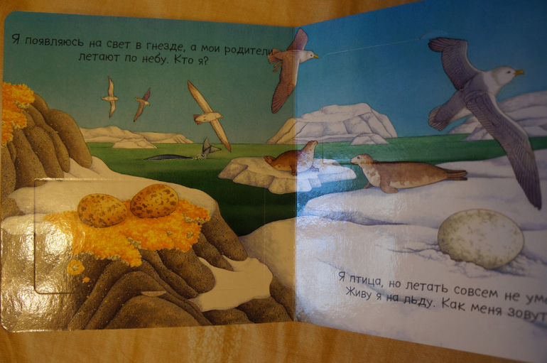 Наши книжки на 8 - 12 мес. - картонная часть