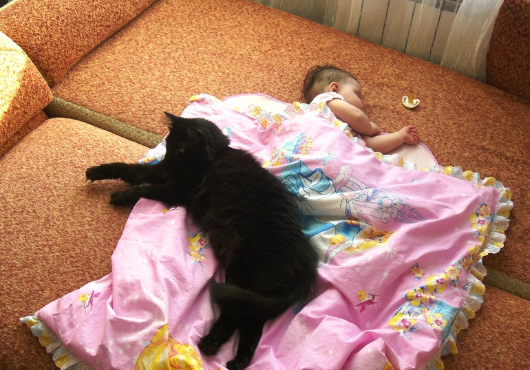 Совместный дневной сон:)