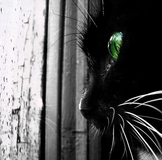 Огромная благодарность!!!