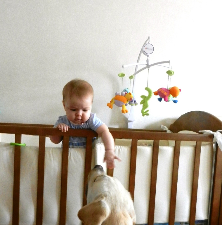 Научились сами вставать