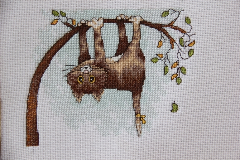 Починила фотоаппарат, отчитываюсь!