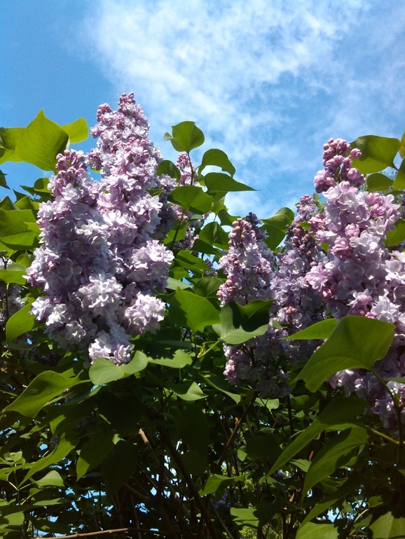 Съездила к Матронушке!