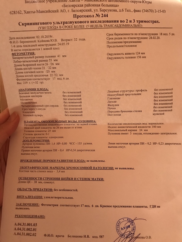 Биохимический риск nt норма. Протокол узи 2 скрининг при беременности. Скрининг 2 триместра нормы по узи 20 недель. 2 скрининг нормы. Скрининги по неделям.