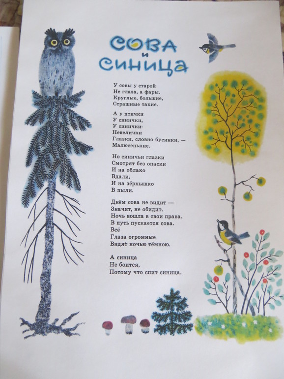 отчет тз где живет сова?