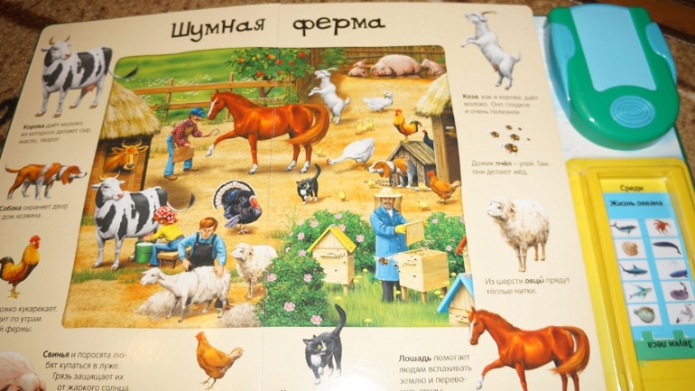 мой хвастик!!!!