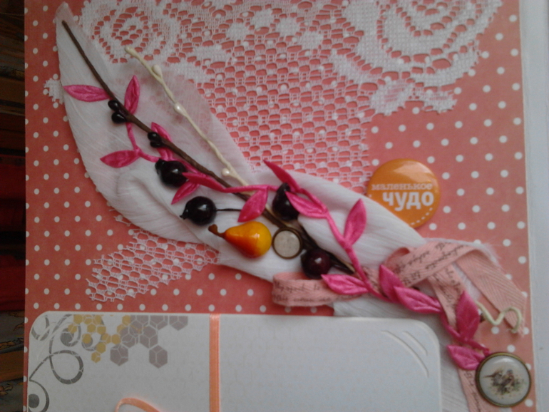 Альбомчик для малышки!!ищет хозяюшку)