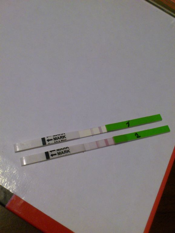 16дц. тесты. прошу не бросать тапки.в этом деле я-новичок!