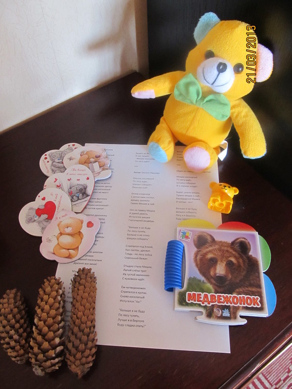 11 месяцев и ТЗ "Медвежонок" (фотоотчет)