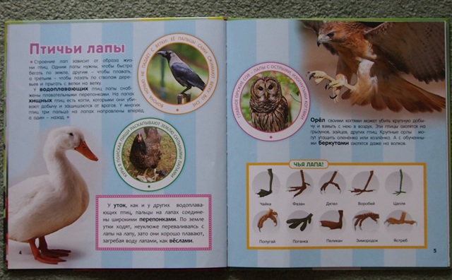 Наша скромная библиотека. Часть 1.