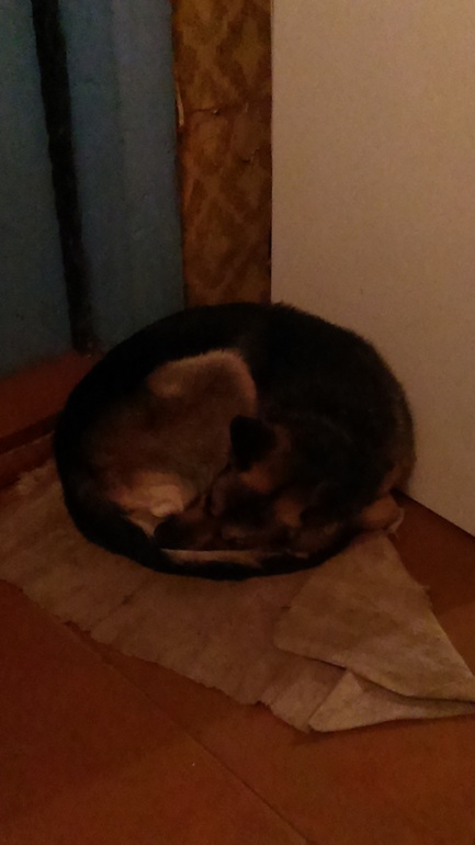 Моя масечка))))