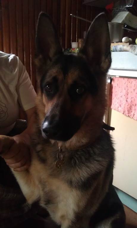 Моя масечка))))