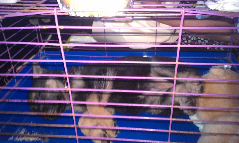 Моя масечка))))