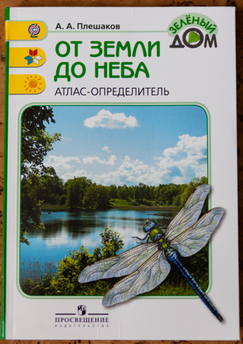 Как перевернулся мой мир!