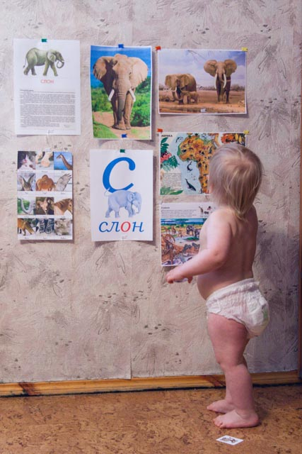 Наша африканская неделька