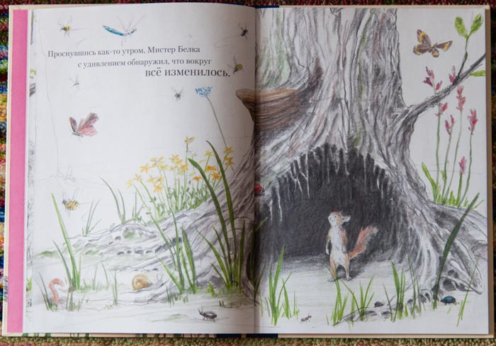 Про весну и про любовь:) Мистер Белка знает путь к счастью!