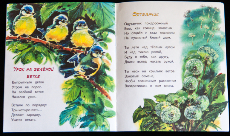 Дешевые книжки от издательств Яблоко и Адонис