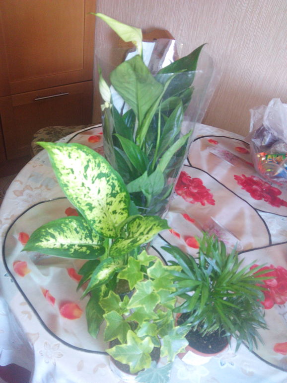 Совет