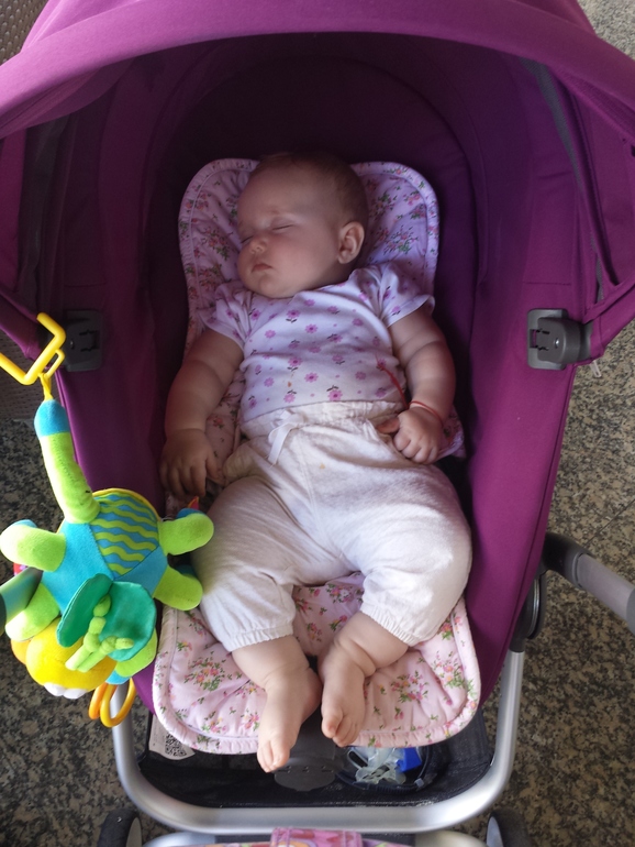 Хвалебная ода СТОККЕ или на море со СКУТОМ.